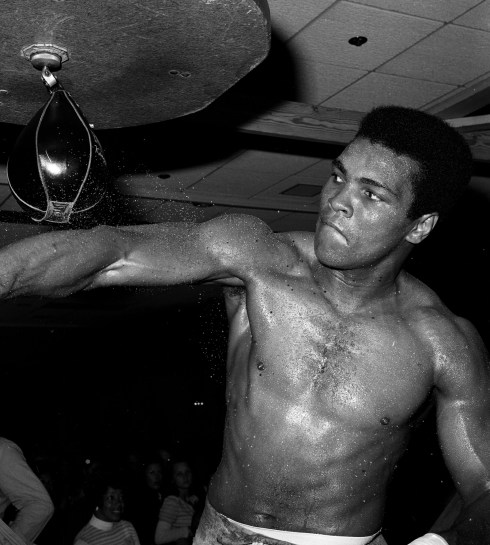 Muhammad Ali, "Training For The Rumble In The Jungle" by Theo Ehret. Main Street Gym 1974.