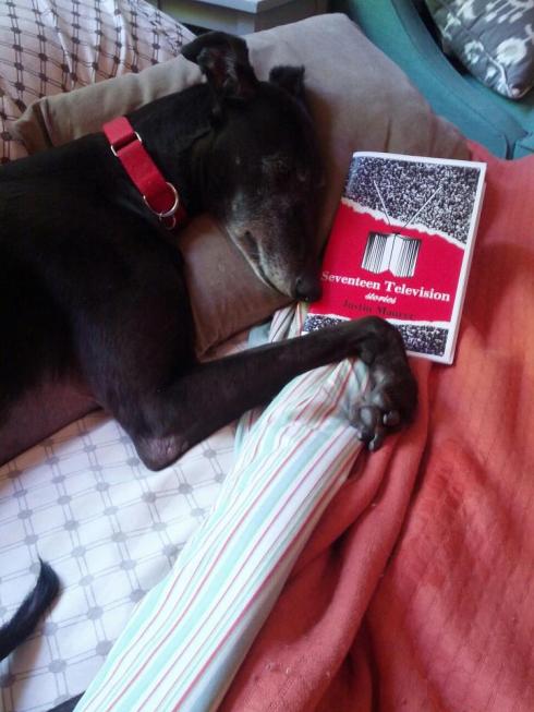 Writer Aaron Gilbreath's dog relaxing with a copy of my book
