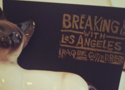 raquel-gutierrez-banner-250x180